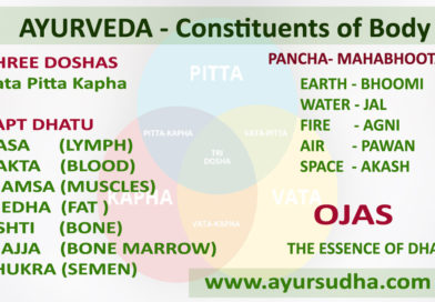 According to Ayurveda Chief Constituents of Body