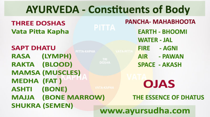 According to Ayurveda Chief Constituents of Body